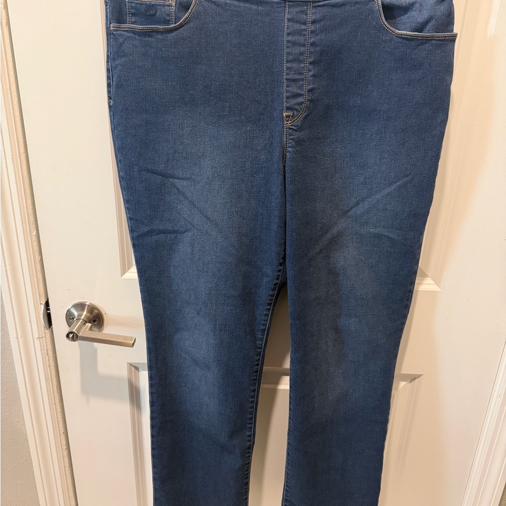 Gloria Vanderbilt Women's Blue Jeggings